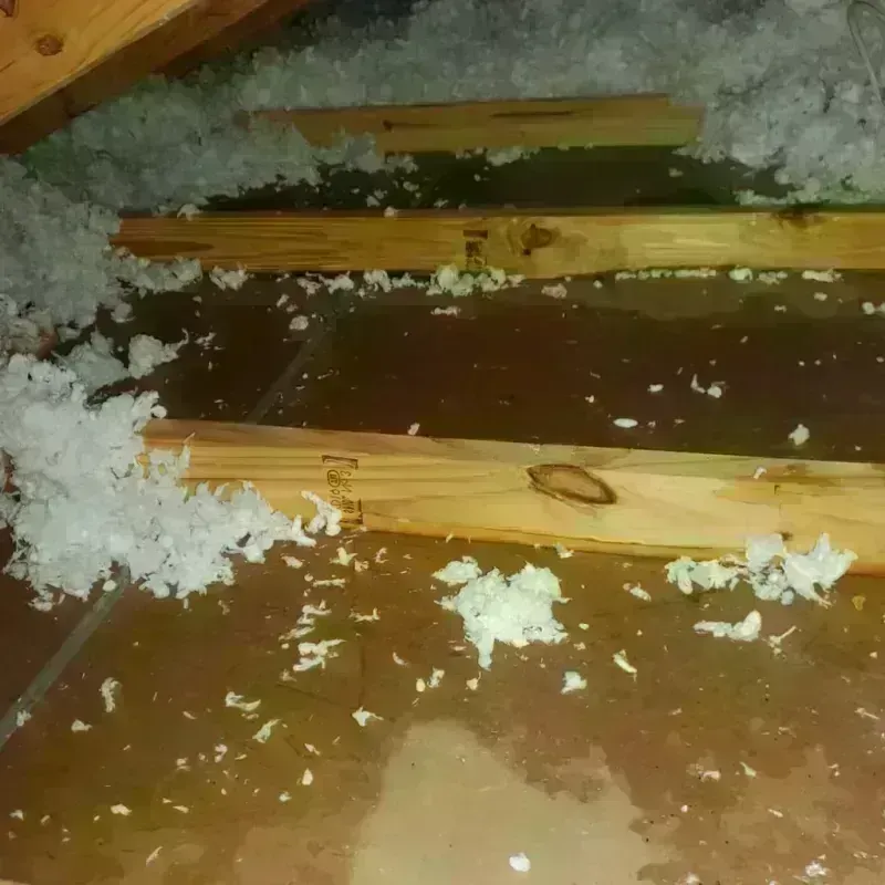 Attic Water Damage in Chatmoss, VA